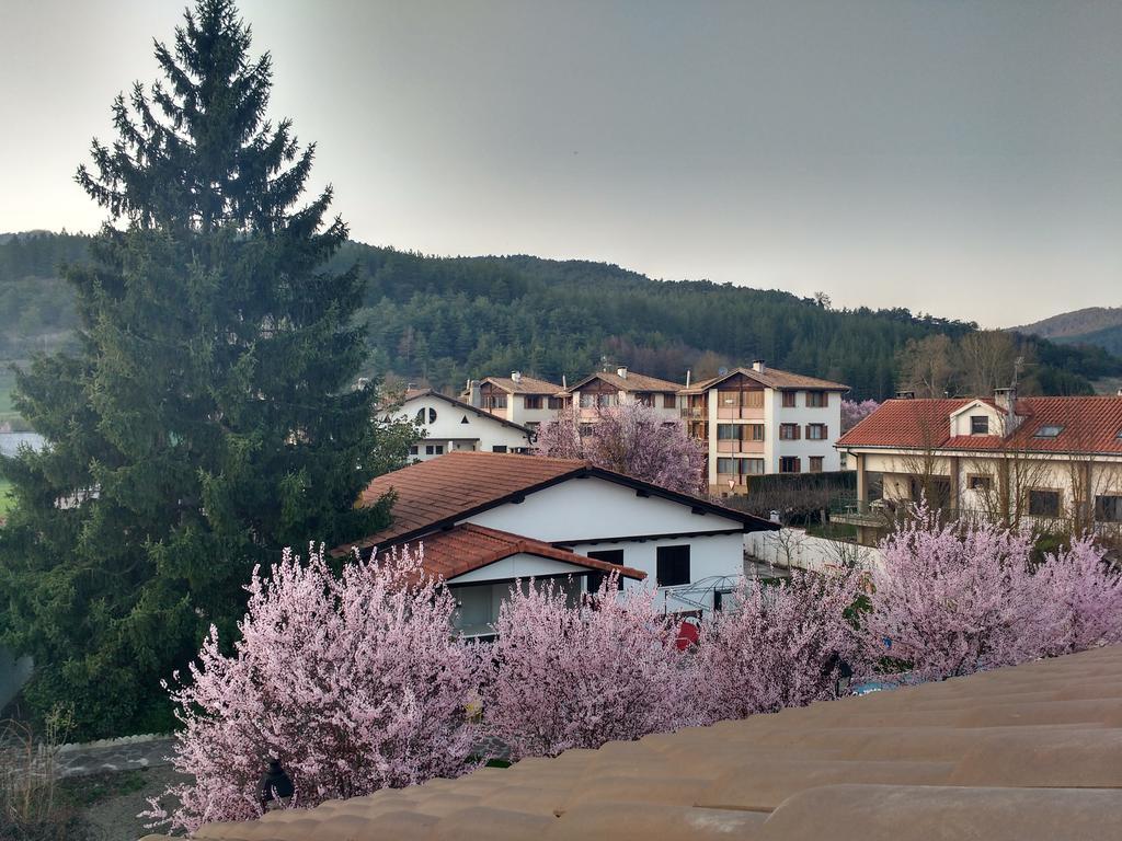 Pensjonat Casa Tau Larrasoana Zewnętrze zdjęcie