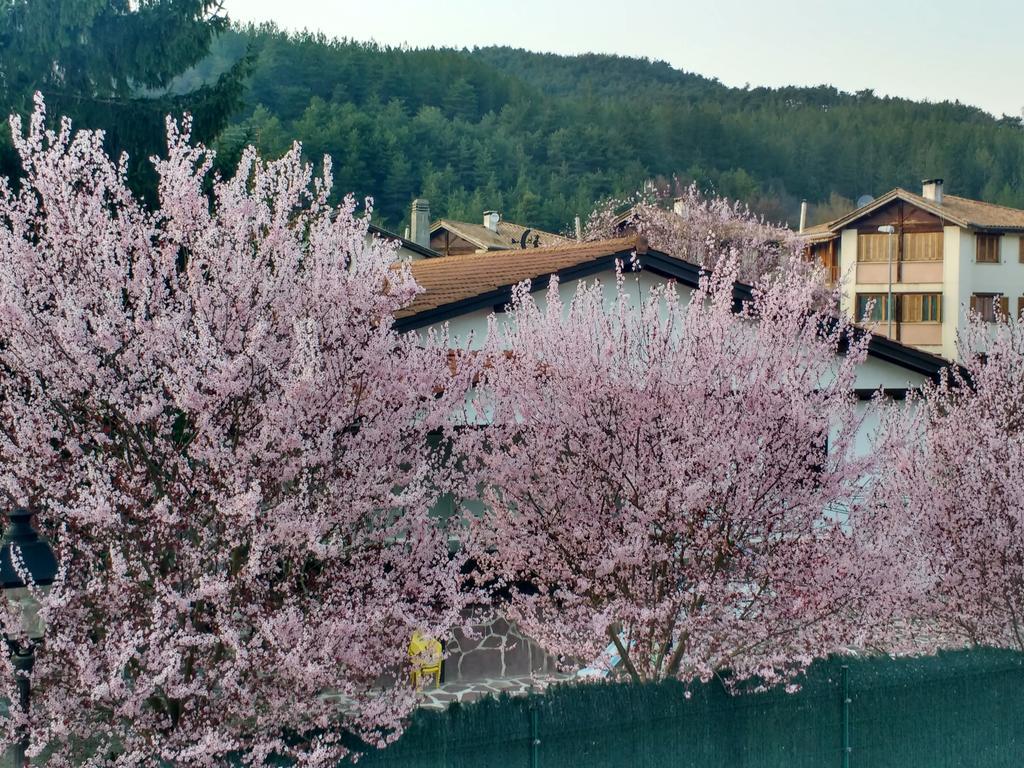Pensjonat Casa Tau Larrasoana Zewnętrze zdjęcie